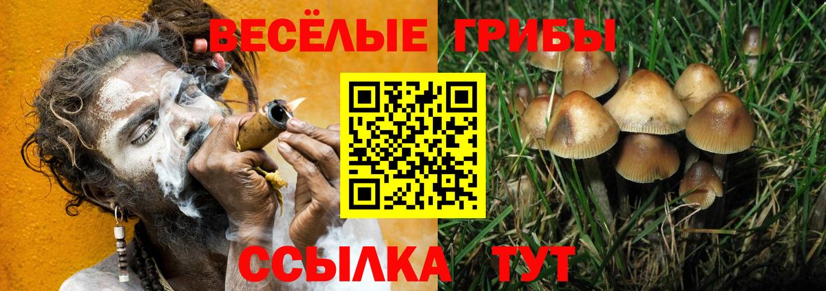 Балашов  Галлюциногенные грибы Magic Shrooms  Вход с VPN  Псилоцибиновые грибы Magic Shrooms 