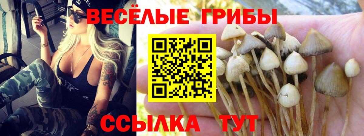 Галлюциногенные грибы Magic Shrooms Балашов